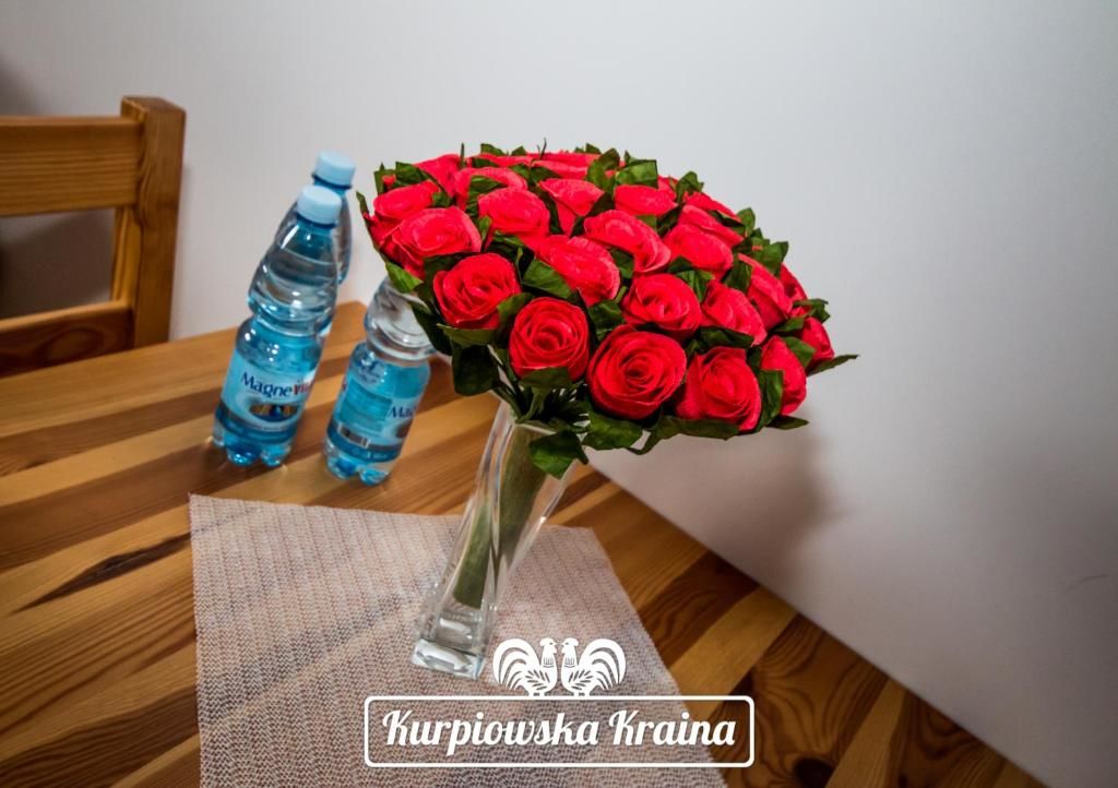 Отель Kurpiowska Kraina Wydmusy-51